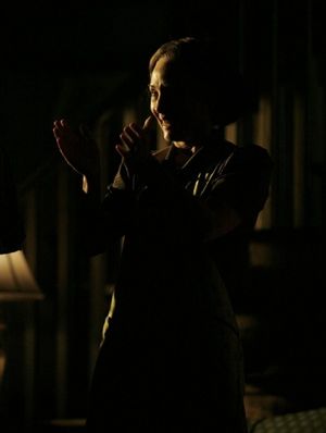 Laurie Metcalf Photo