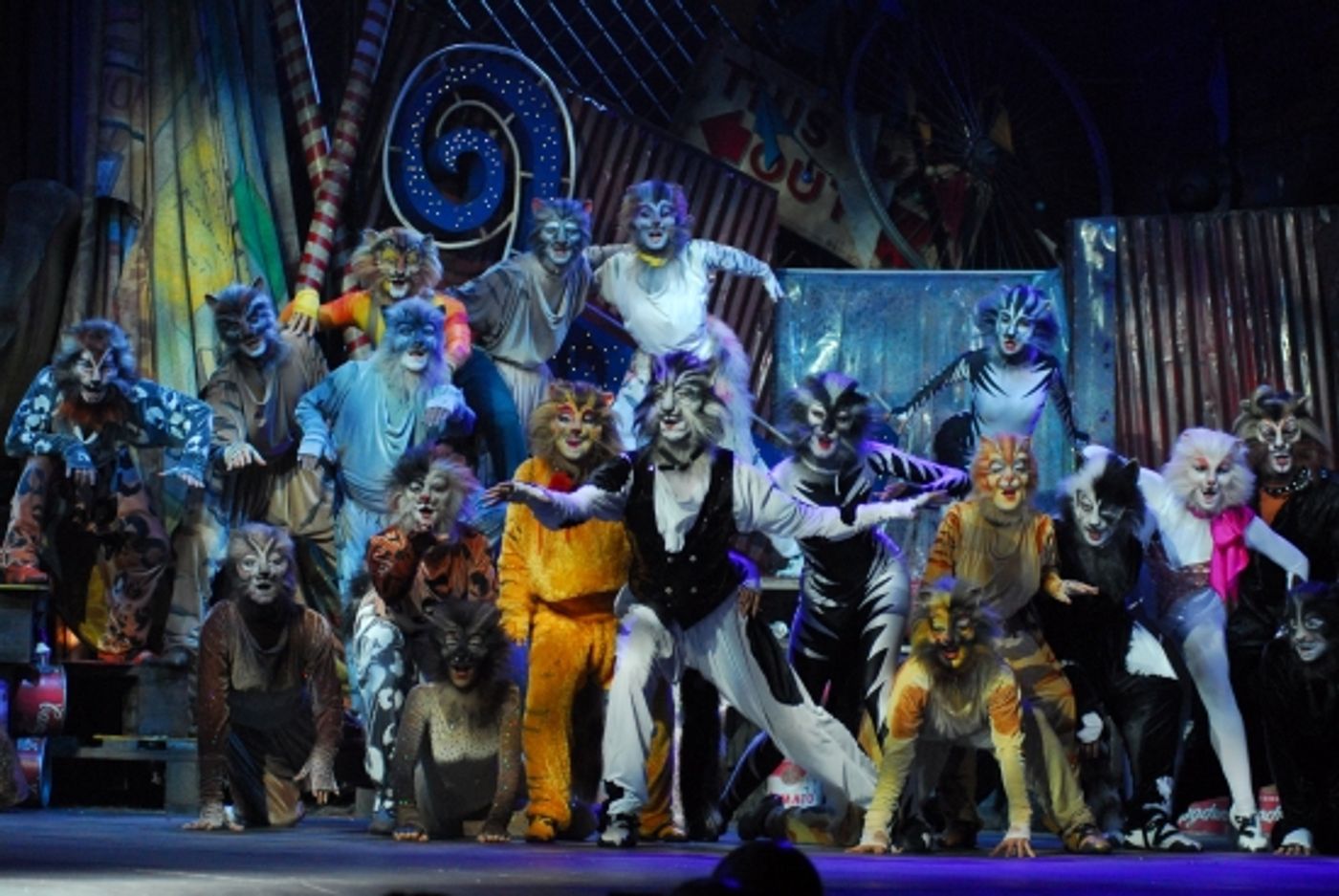 Photo Flash: Teatro Sistina's CATS Photo Flash: Teatro Sistina's CATS Image