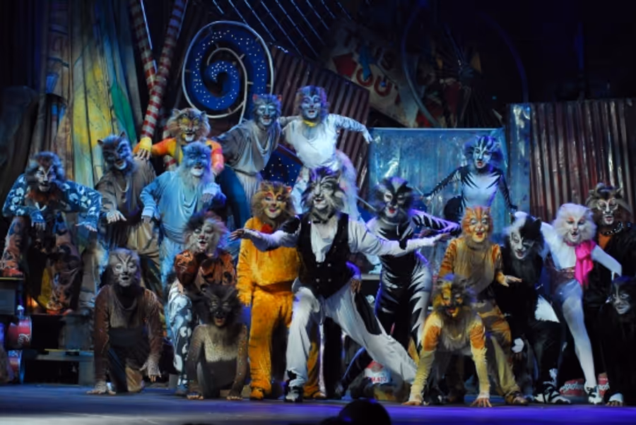 Photo Flash: Teatro Sistina's CATS Image