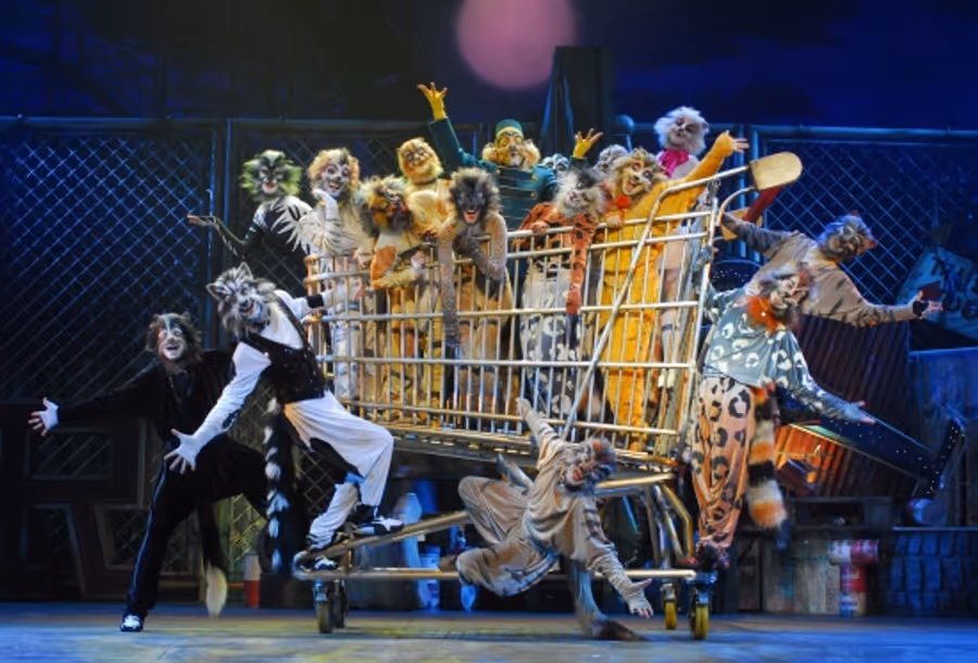 Photo Flash: Teatro Sistina's CATS Image
