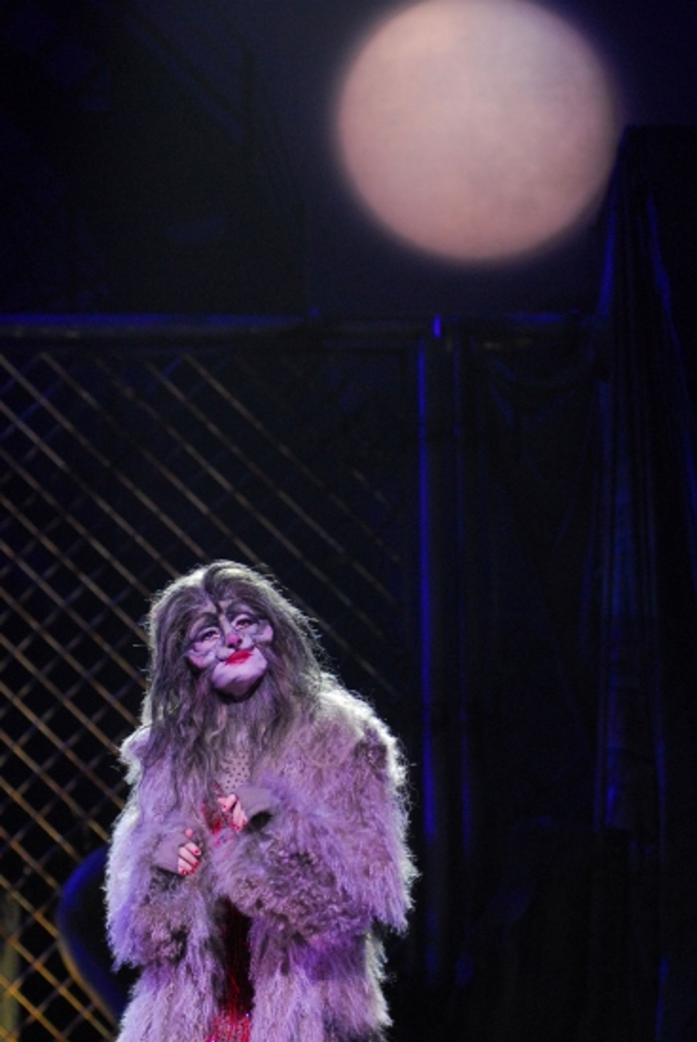 Photo Flash: Teatro Sistina's CATS Photo Flash: Teatro Sistina's CATS Image