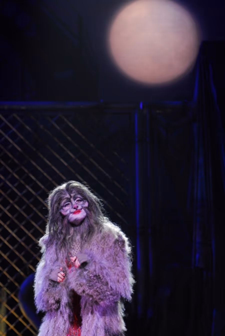 Photo Flash: Teatro Sistina's CATS Image