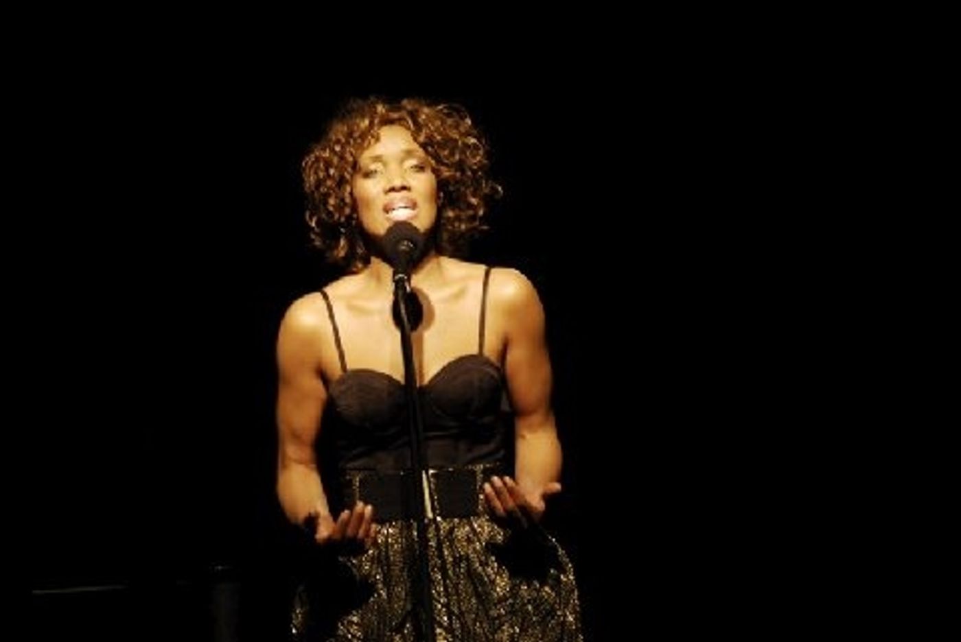 Photo Flash: APRIL NIXON IS REBORN at The Triad  Image