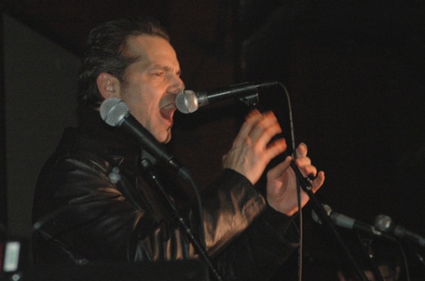 Photo Coverage: ROCKERS ON BROADWAY 2009 - Performance!  Image