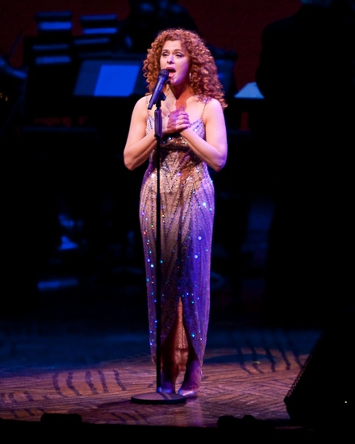 Photo Coverage: 'Bernadette Peters: A Special Concert' - In Performance at the Minskoff Theatre  Image