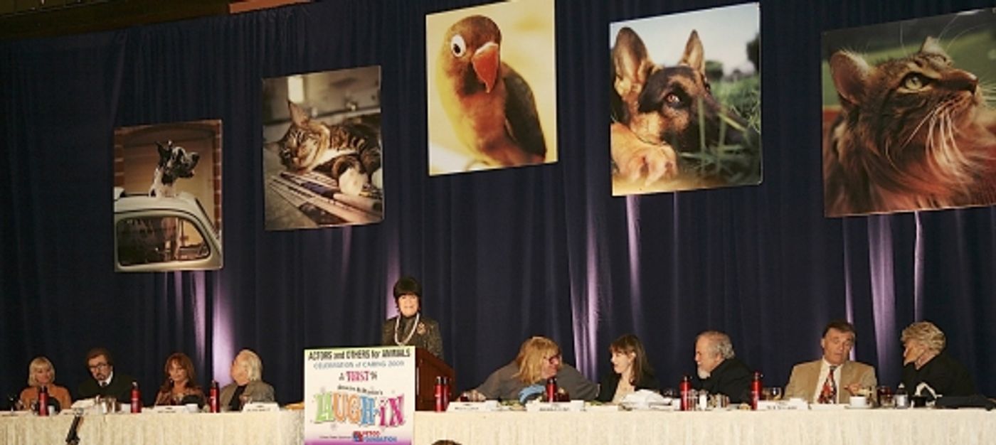 Photo Flash: A&O's Celebration of Caring Event  Image