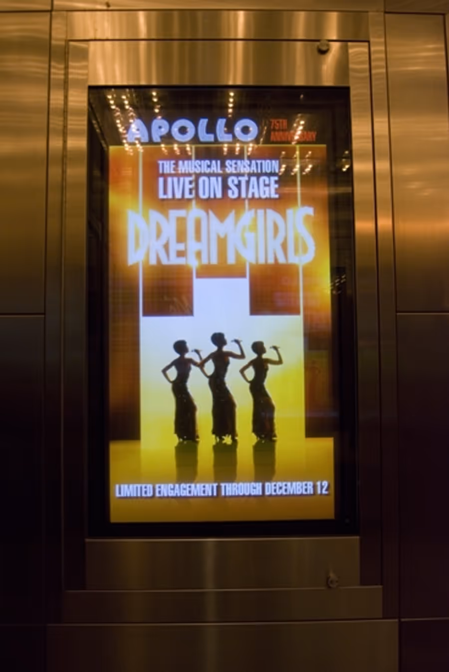 Photo Coverage: Opening Night of DREAMGIRLS at the Apollo Red Carpet Image