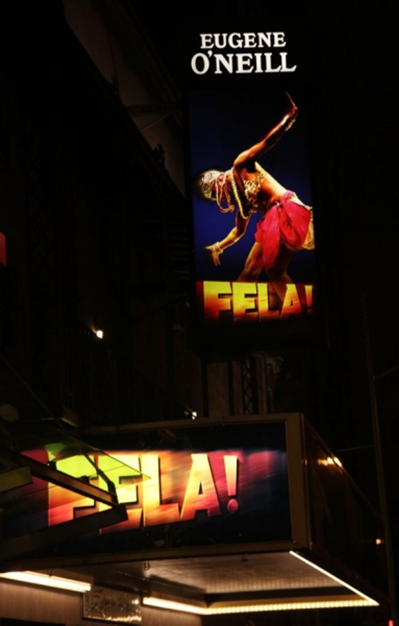Photo Coverage: FELA!  Opening Night on Broadway - Red Carpet Arrivals!  Image