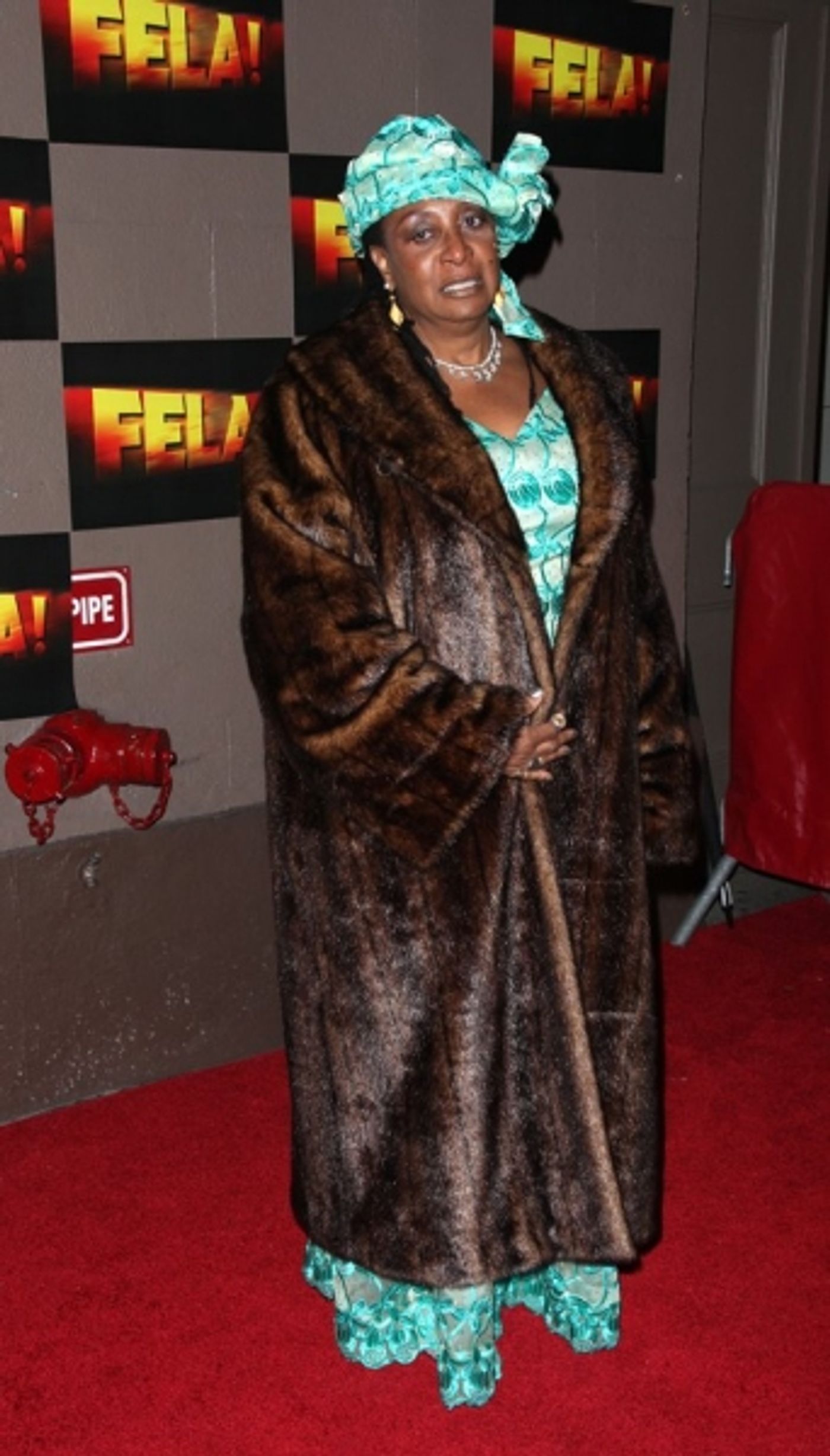 Photo Coverage: FELA!  Opening Night on Broadway - Red Carpet Arrivals!  Image