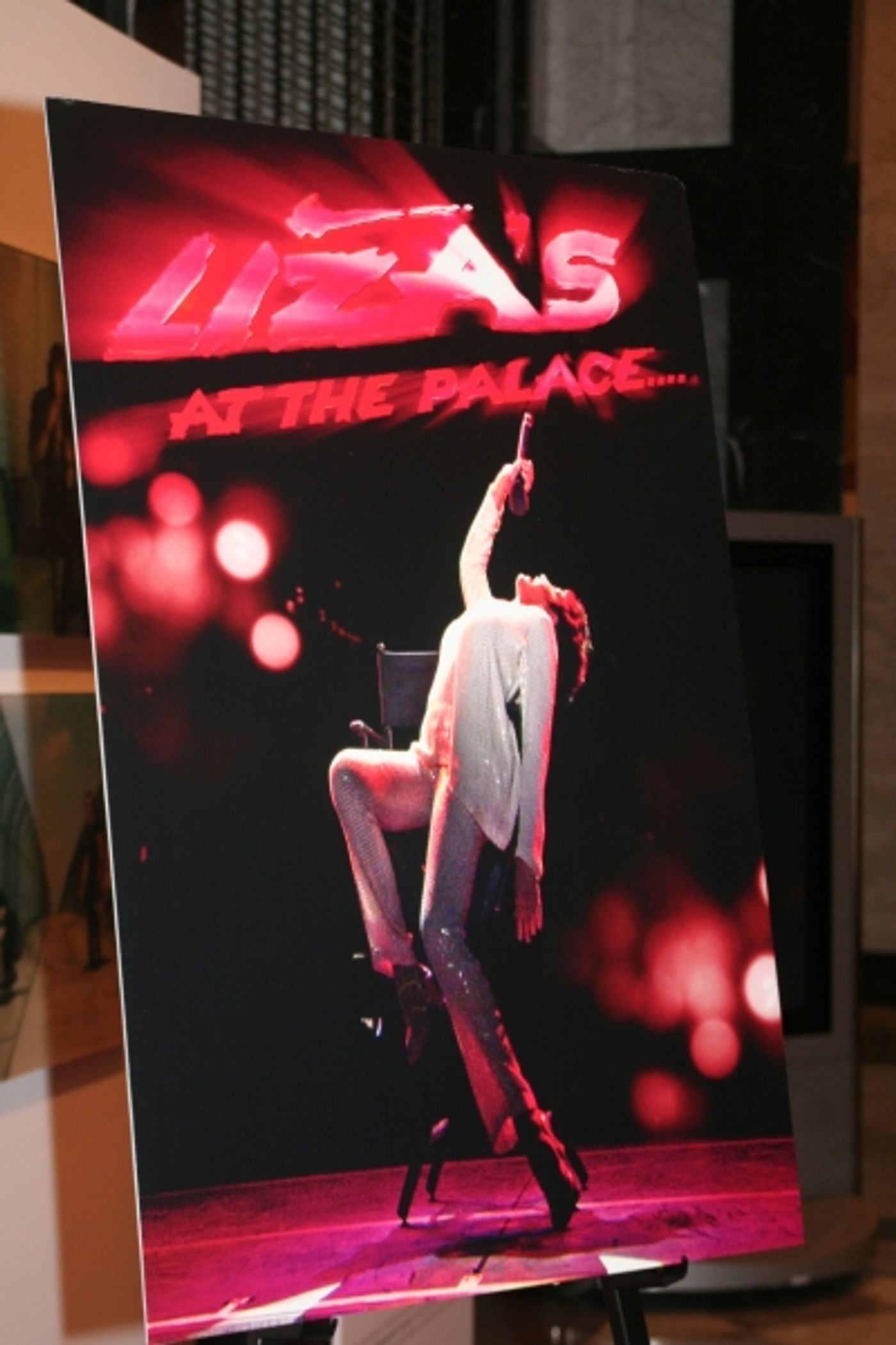 Photo Coverage: LIZA'S AT THE PALACE.... Screening at The Paley Center  Image