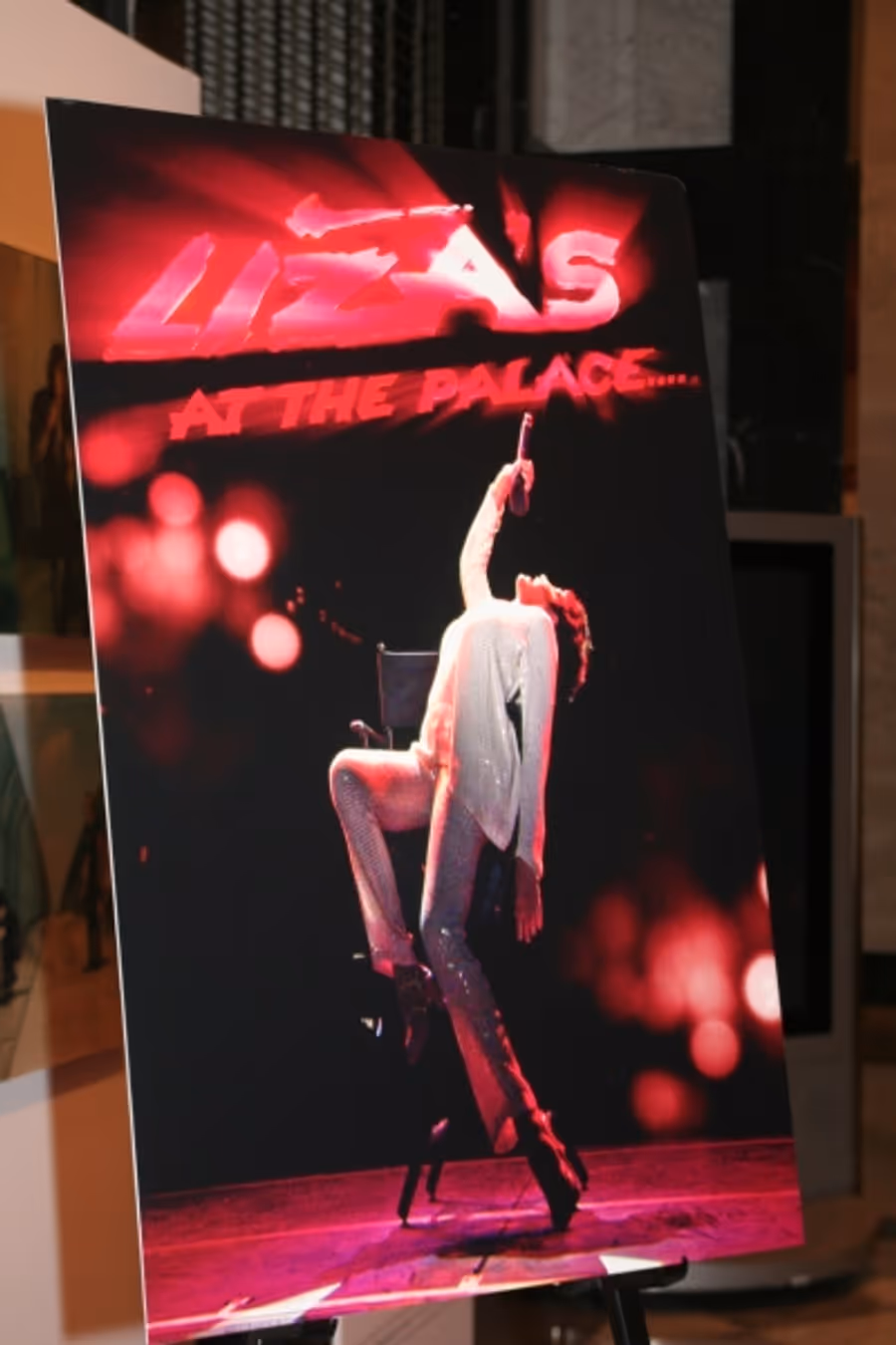 Photo Coverage: LIZA'S AT THE PALACE.... Screening at The Paley Center Image
