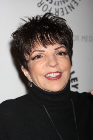 Liza Minnelli @ BroadwayWorld Liza Minnelli Photo