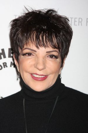 Liza Minnelli @ BroadwayWorld Liza Minnelli Photo