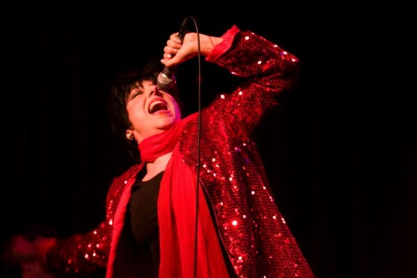 Photo Coverage: Jim Caruso's Cast Party Celebrates Forbidden Broadway  Image