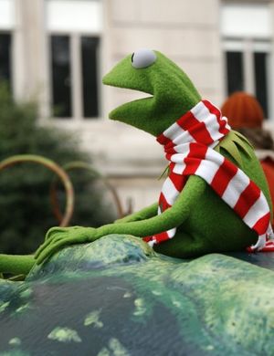 Kermit the Frog Photo