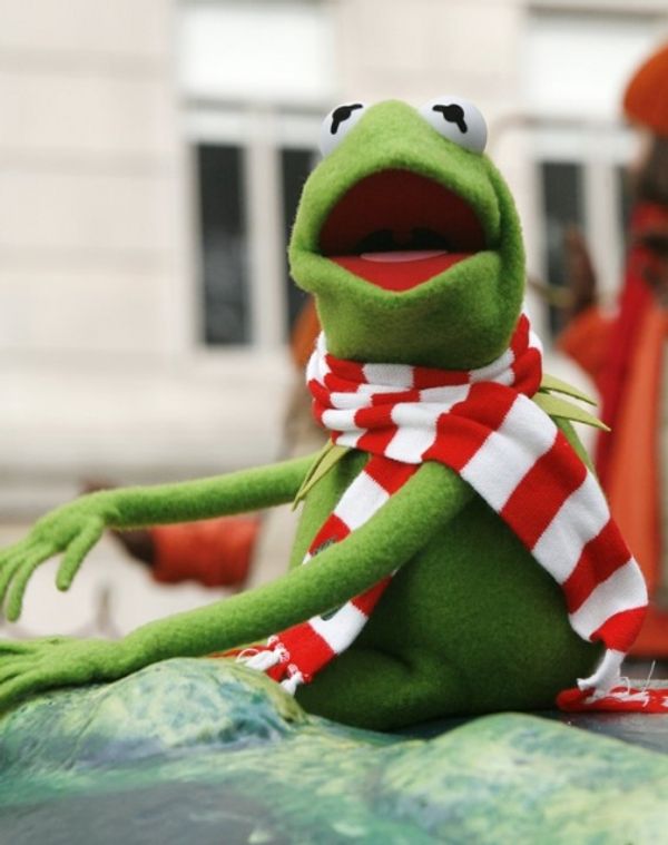 Kermit the Frog Photo