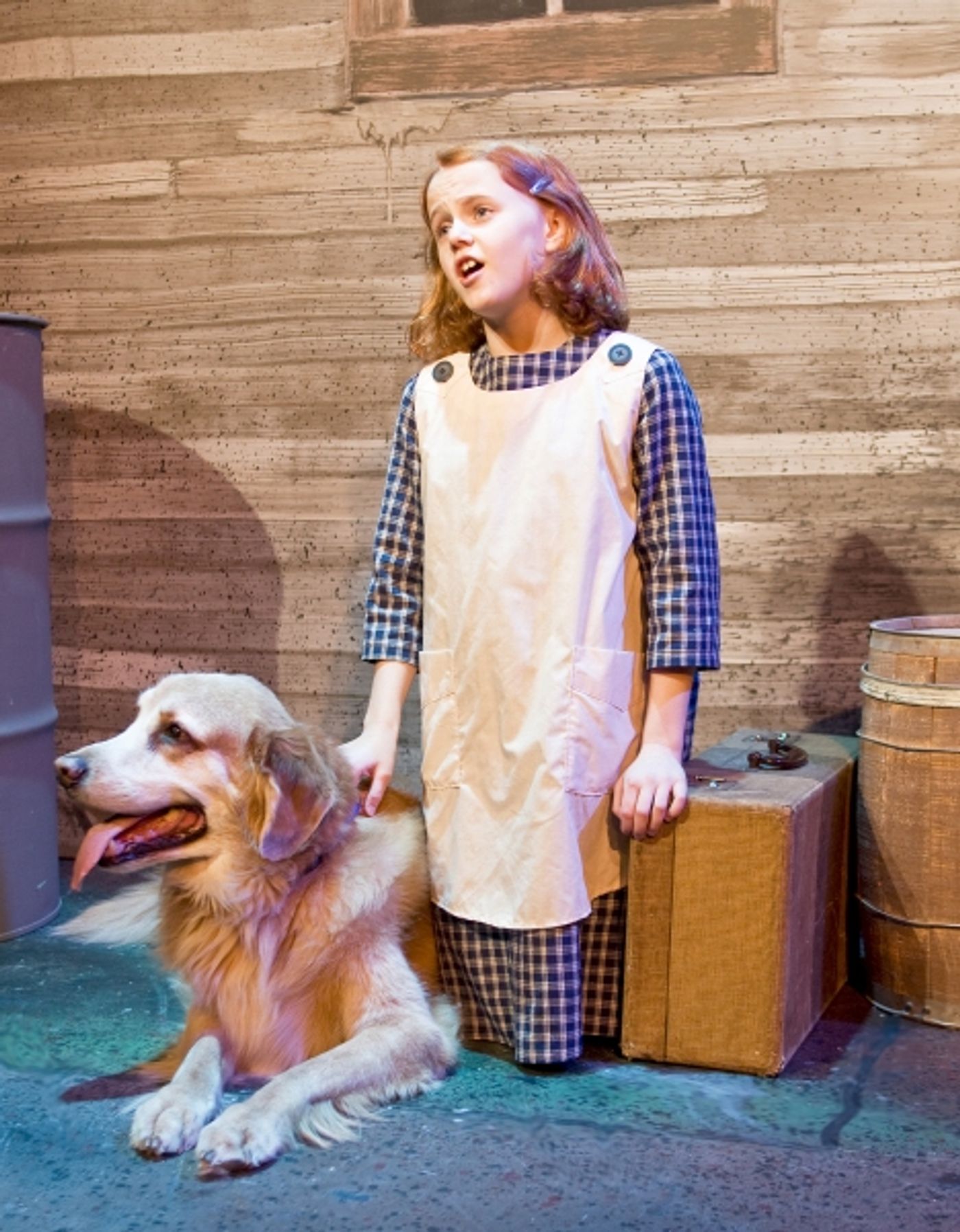 Photo Flash: ANNIE at the Des Moines Playhouse  Image
