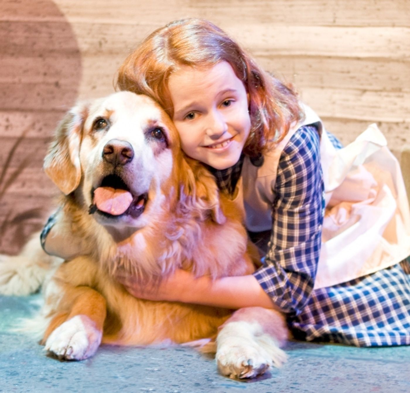 Photo Flash: ANNIE at the Des Moines Playhouse  Image