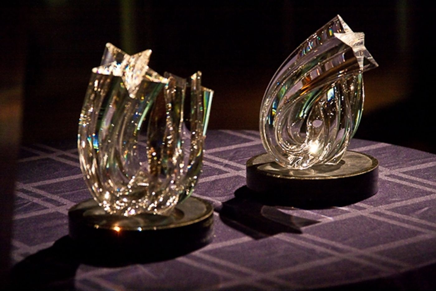 Photo Coverage: 2009 Fred Ebb Awards Honor Heisler and Goldrich  Image