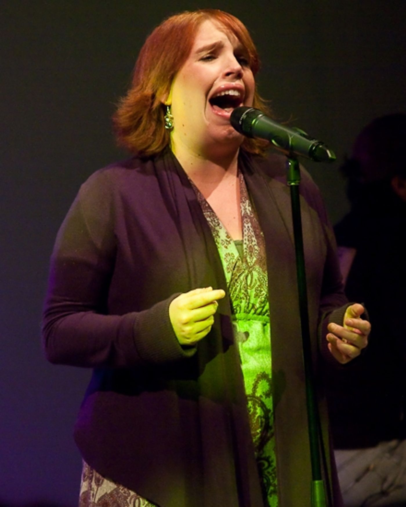 Photo Coverage: 'A Very MARY Holiday' Benefit Concert  Image