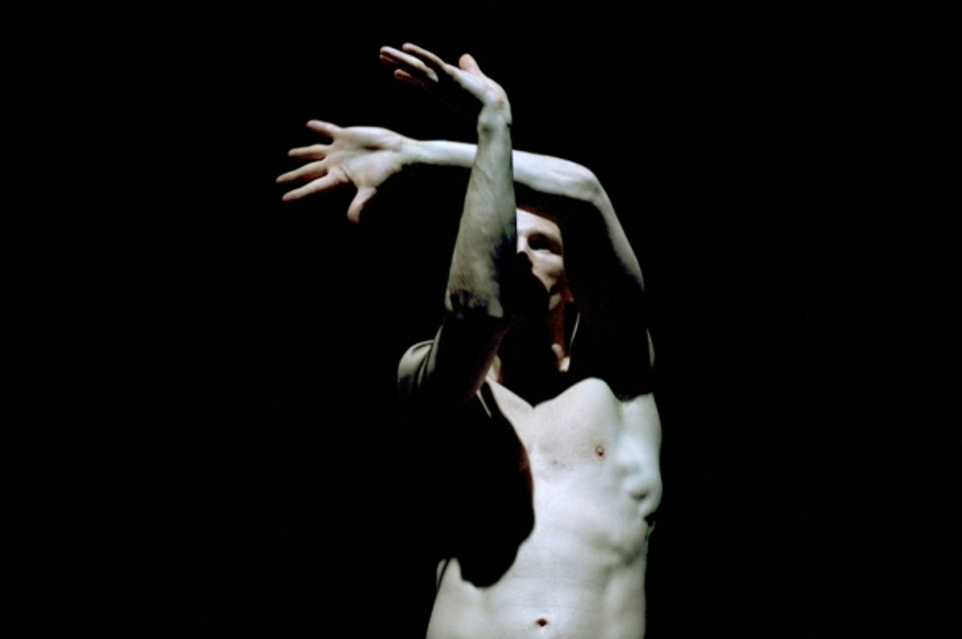 Photo Coverage: Harbourfront World Stage's 'To Be Straight With You' Premiers in Toronto  Image