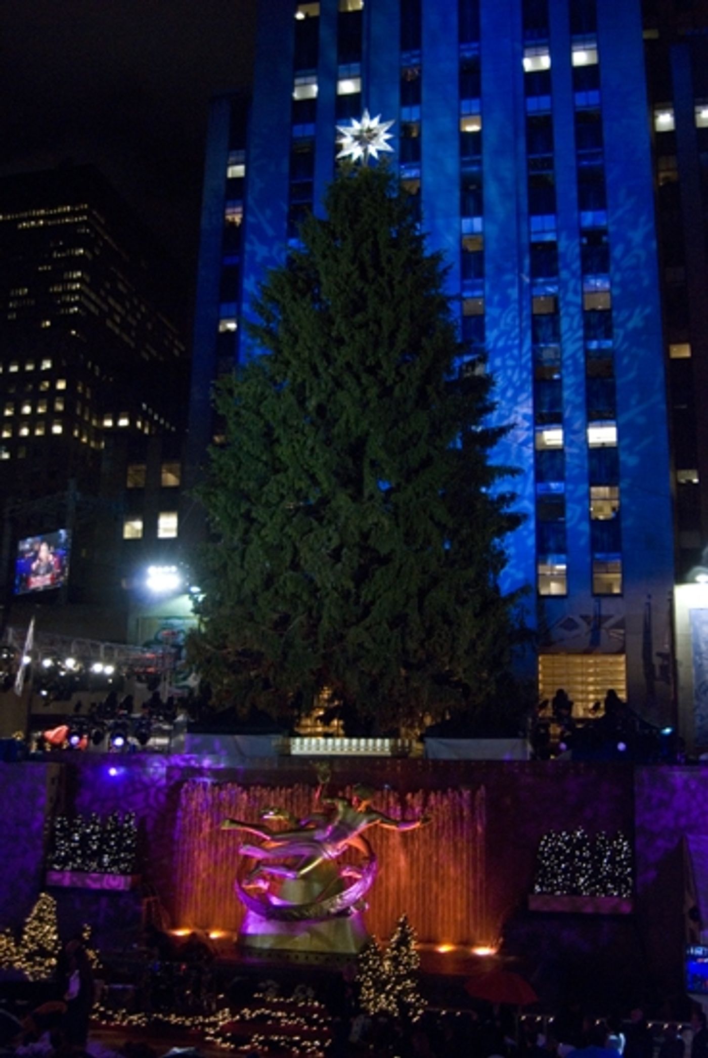 Photo Coverage: 2009 Rockefeller Christmas Tree Lighting!  Image