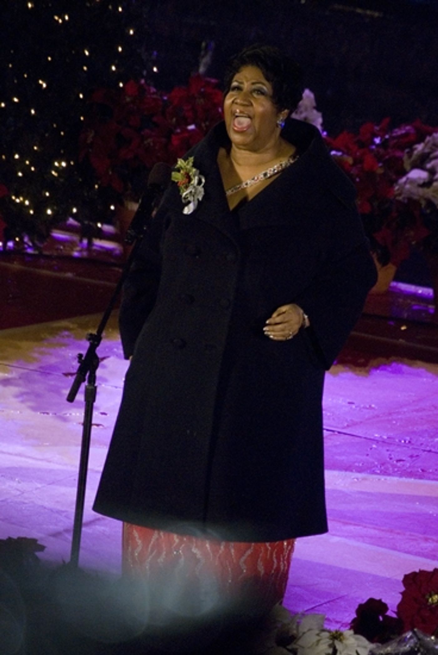 Photo Coverage: 2009 Rockefeller Christmas Tree Lighting!  Image