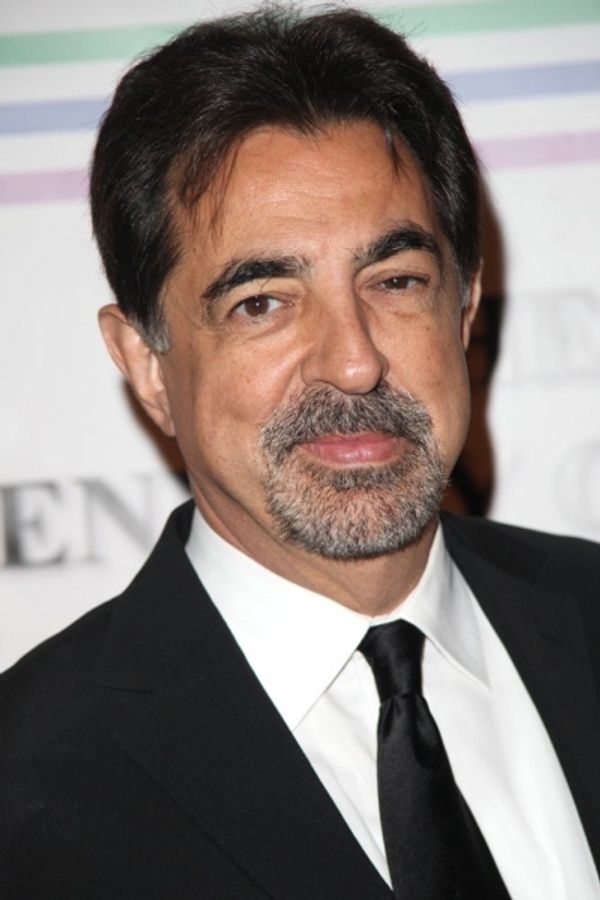 Joe Mantegna Photo