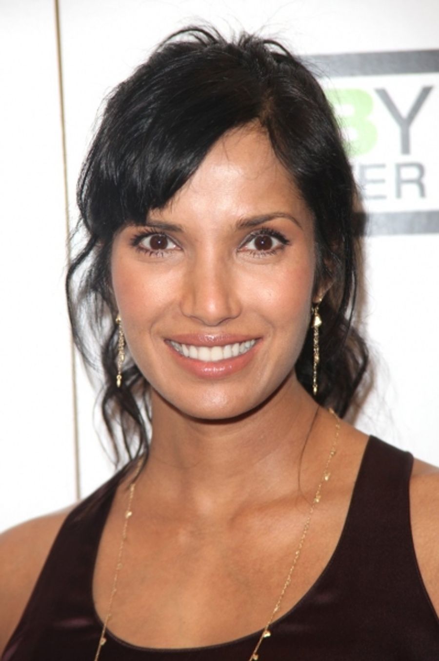 Photo Coverage: Celebrity Charades 2009 Benefit! Image