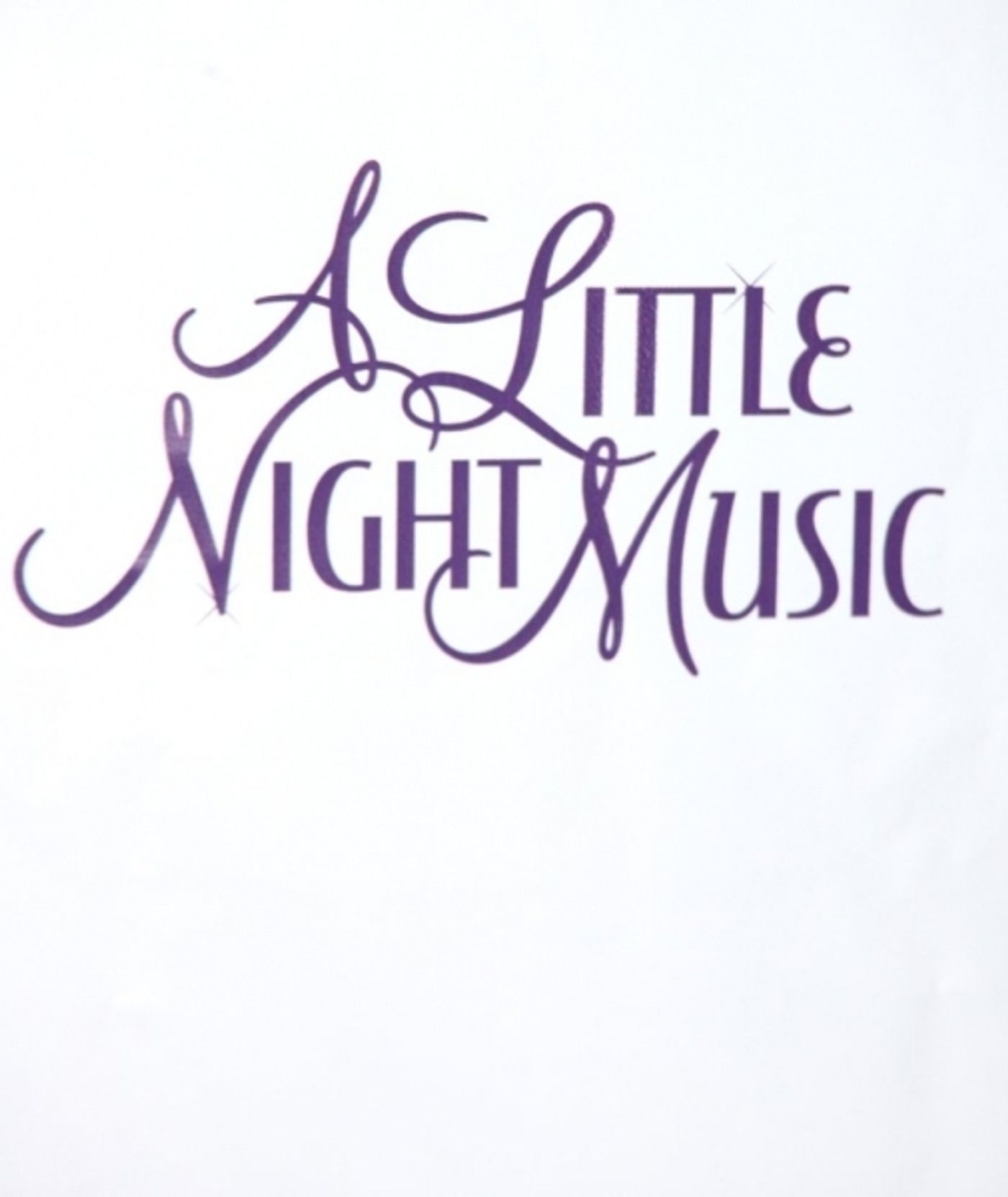 Photo Coverage: A LITTLE NIGHT MUSIC Opening Night - After Party!  Image