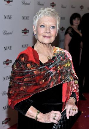 Judi Dench Photo
