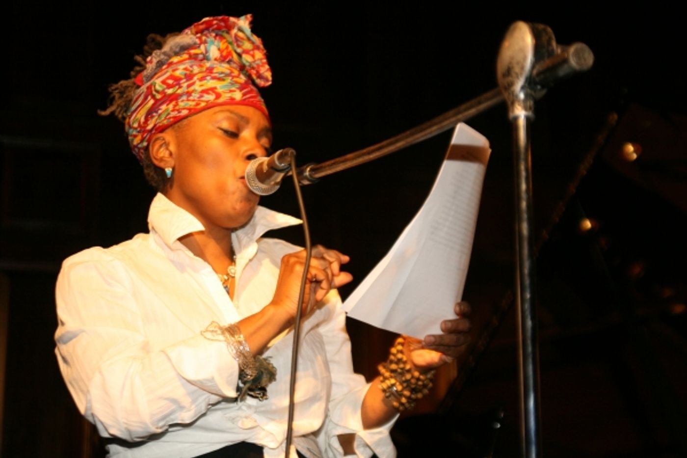 Photo Coverage: Martin Sheen, Olympia Dukakis & More at The Living Theatre Fundraising Gala Photo Coverage: Martin Sheen, Olympia Dukakis & More at The Living Theatre Fundraising Gala Image