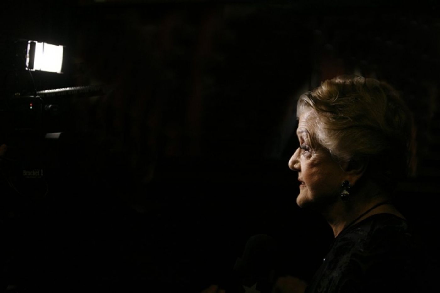 Photos: In The SPOTLIGHT Tribute- The Women of 2009 Photos: In The SPOTLIGHT Tribute- The Women of 2009 Image