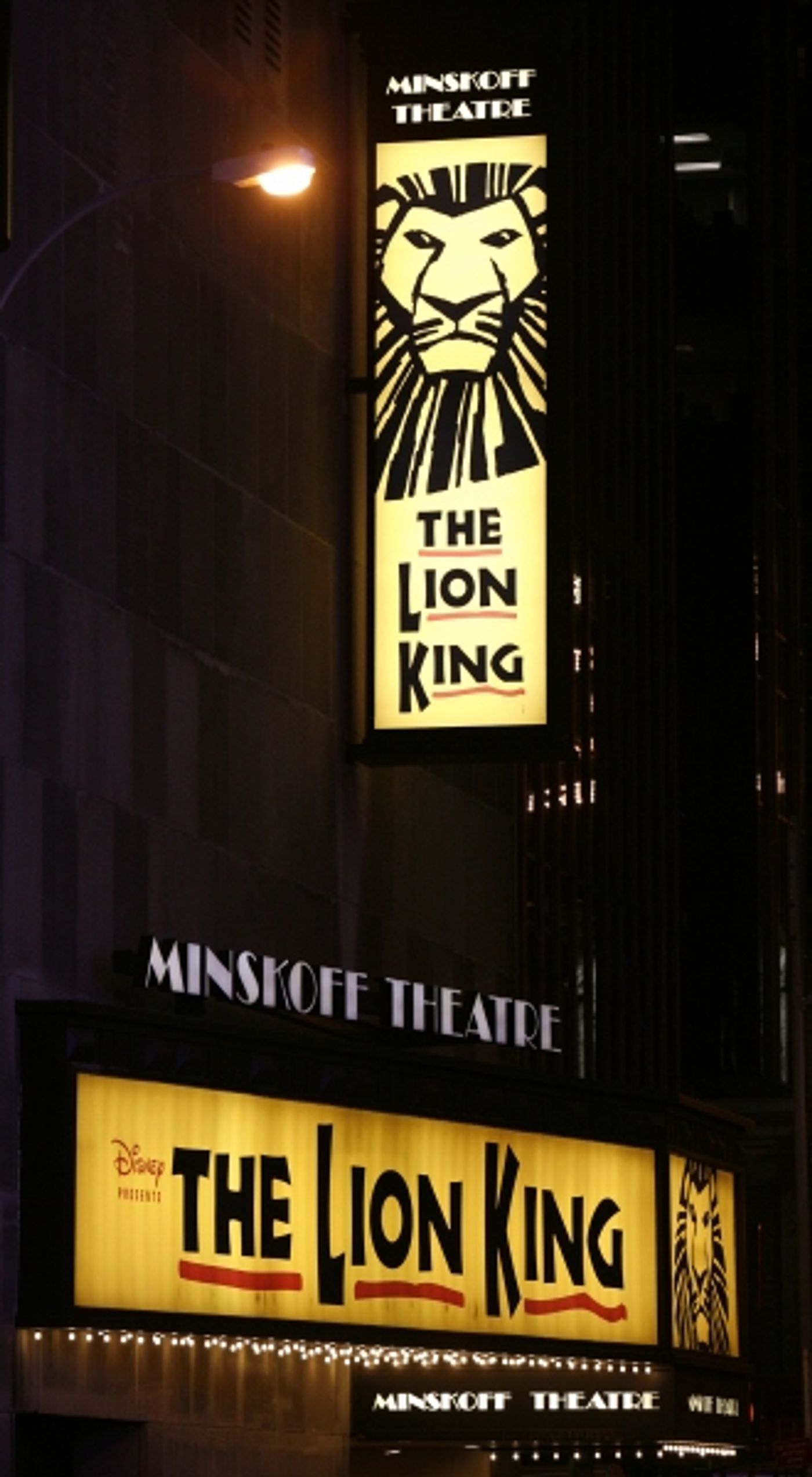 Photo Coverage: Whoopi Goldberg's Joins THE LION KING for a Night Photo Coverage: Whoopi Goldberg's Joins THE LION KING for a Night Image