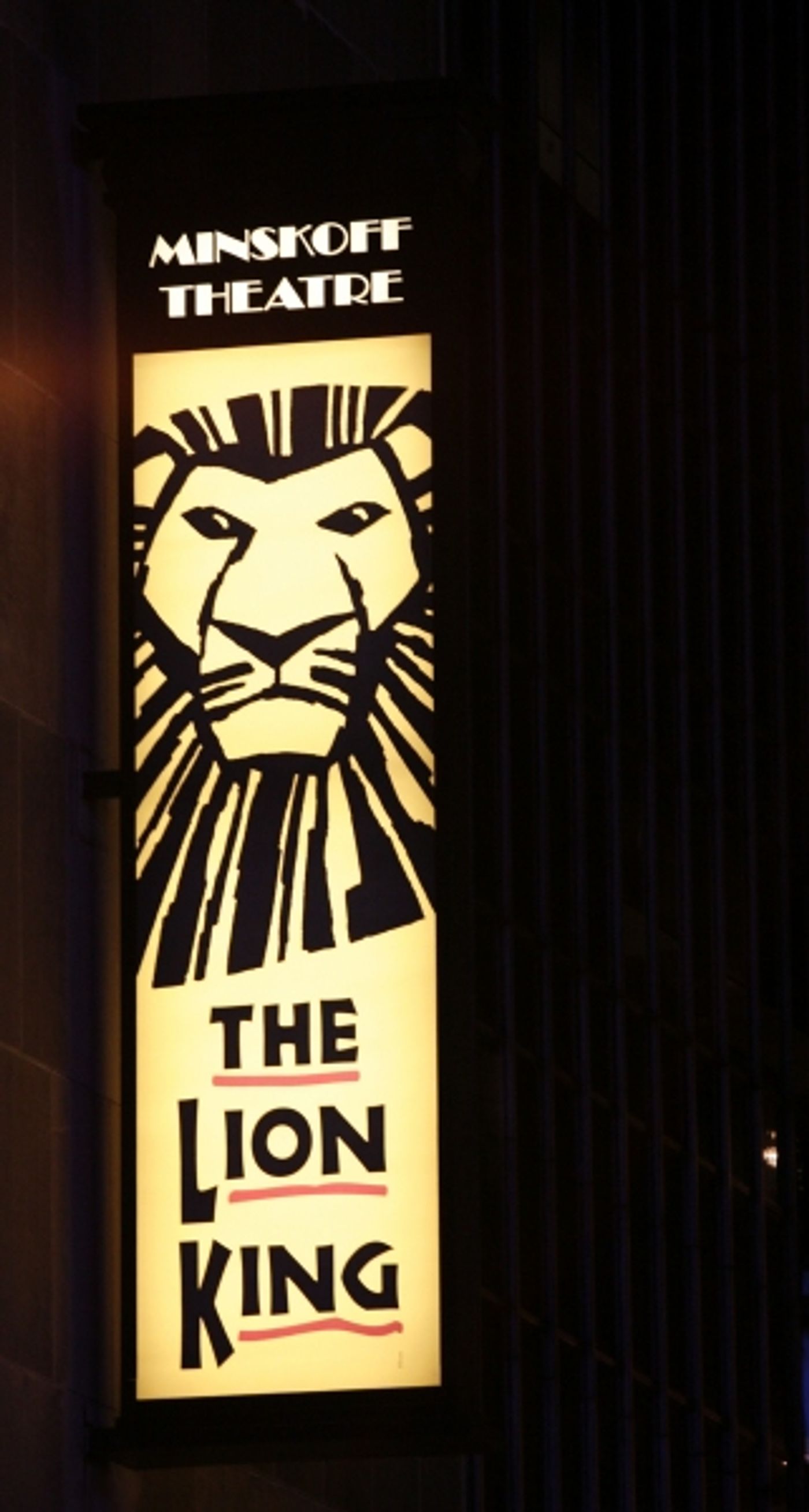 Photo Coverage: Whoopi Goldberg's Joins THE LION KING for a Night Photo Coverage: Whoopi Goldberg's Joins THE LION KING for a Night Image