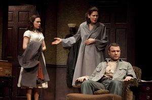 Scarlett Johansson, Jessica Hecht, and Liev Schreiber Photo