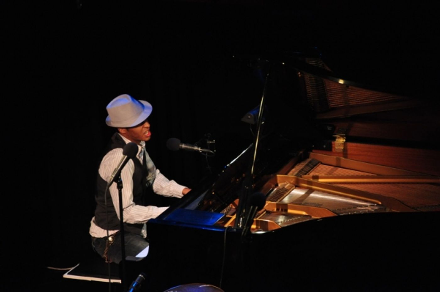 Photo Coverage: 'Just A Piano' - A Benefit for Haiti  Image
