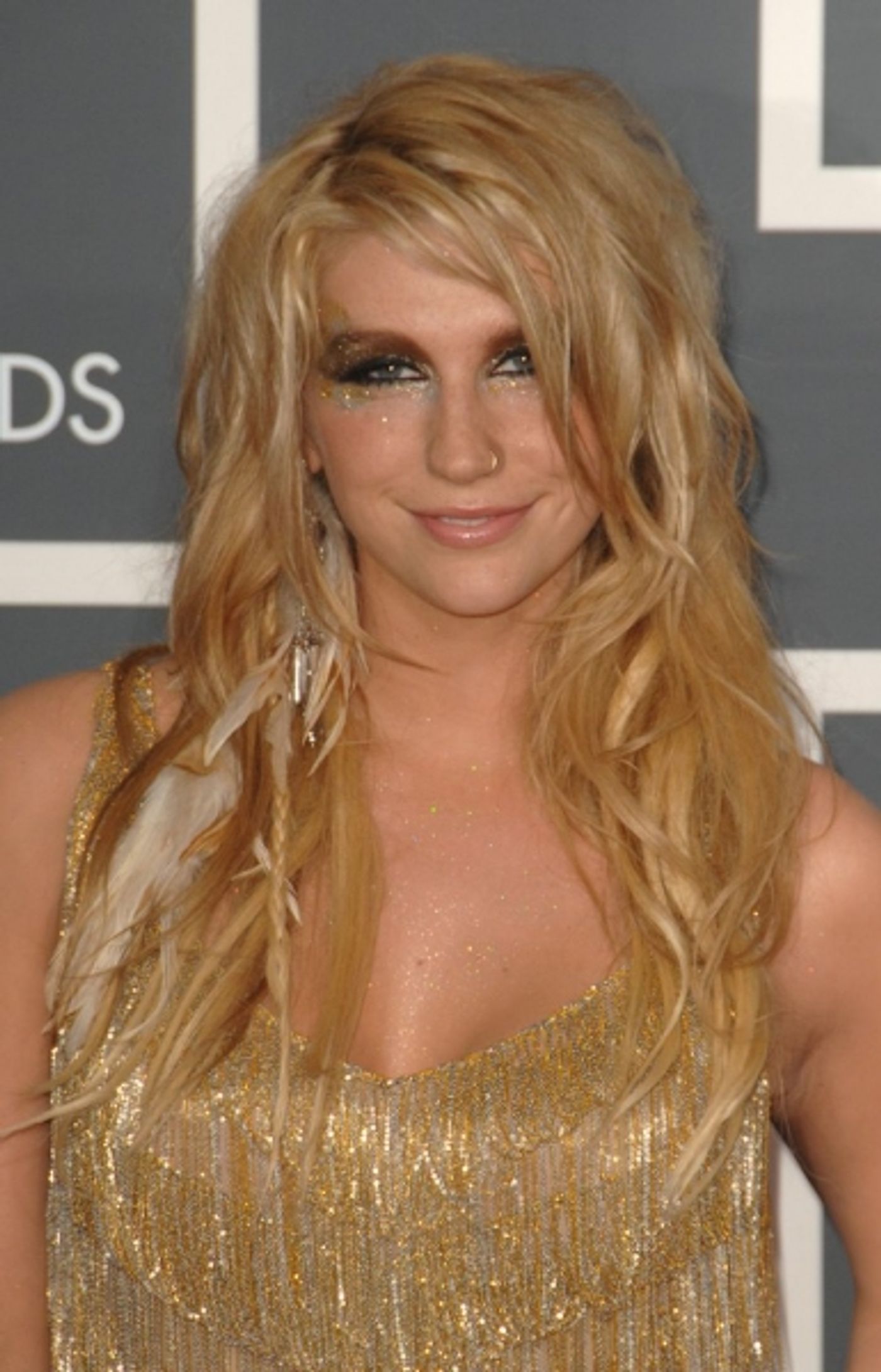 Photo Coverage: Grammy Awards Red Carpet  Image