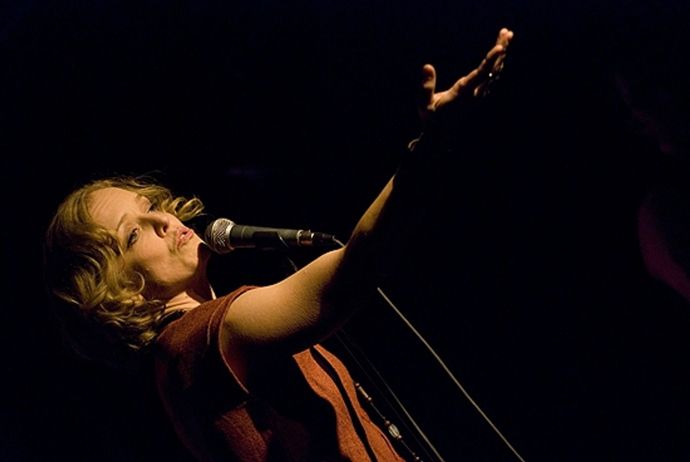 Photo Coverage: Brecia, Sikora & Blickenstaff et al. Appear in 'If It Only...' Concert  Image