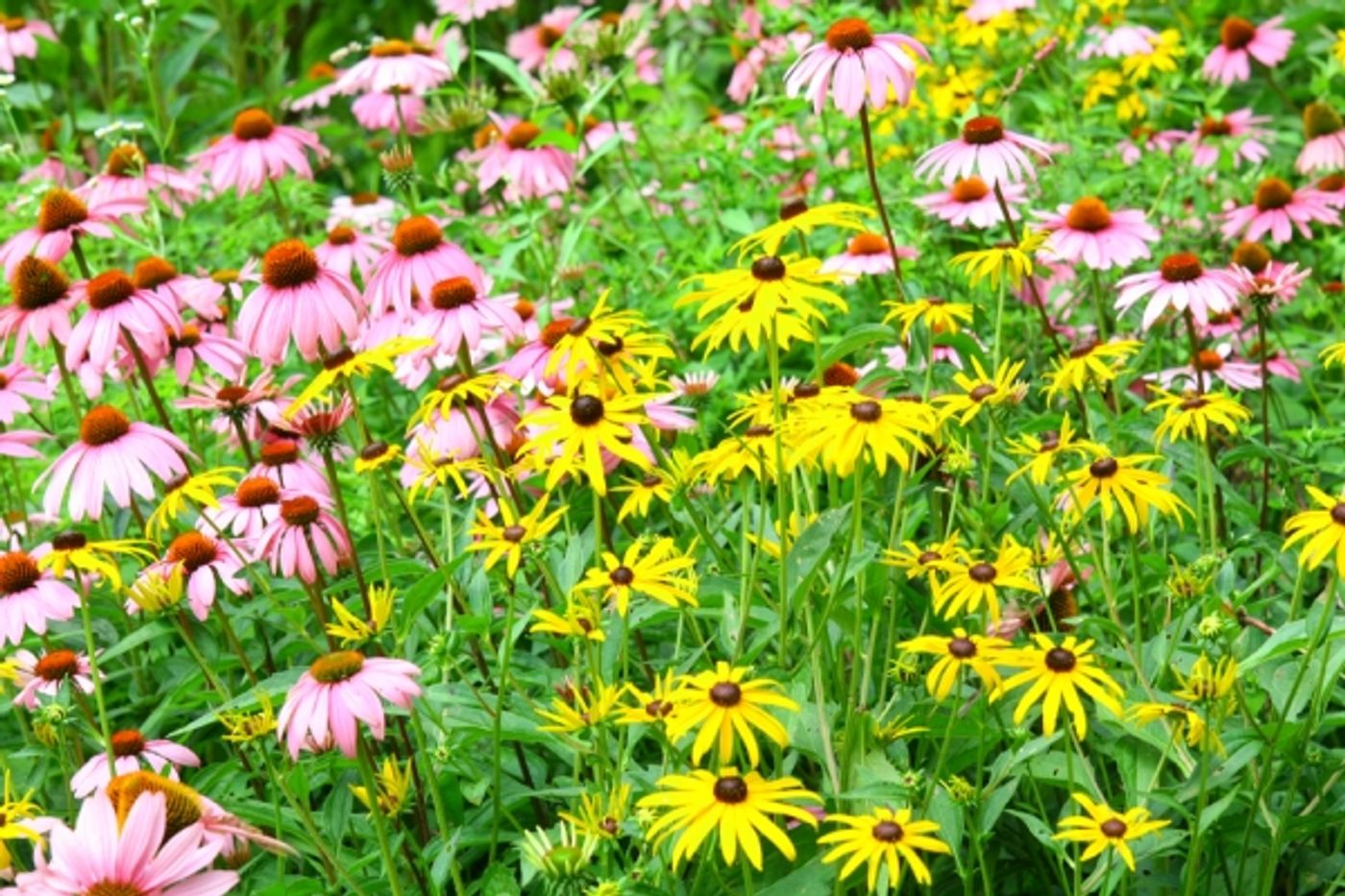 Photo Coverage: A Broadway Baby Trail, Memories from New York City Photo Coverage: A Broadway Baby Trail, Memories from New York City Image