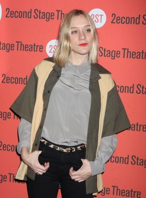 Chloe Sevigny Photo