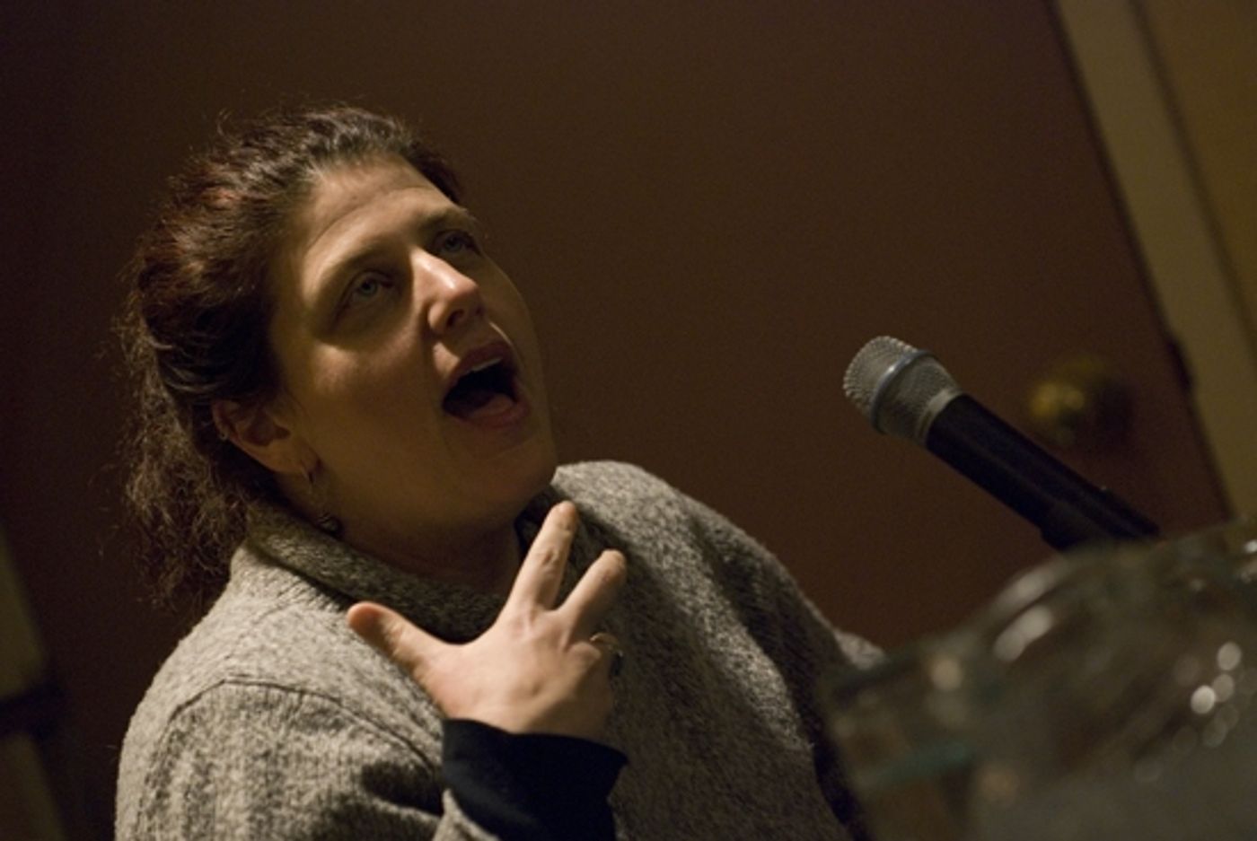 Photo Coverage: Women Playwrights & Directors Panel  Image