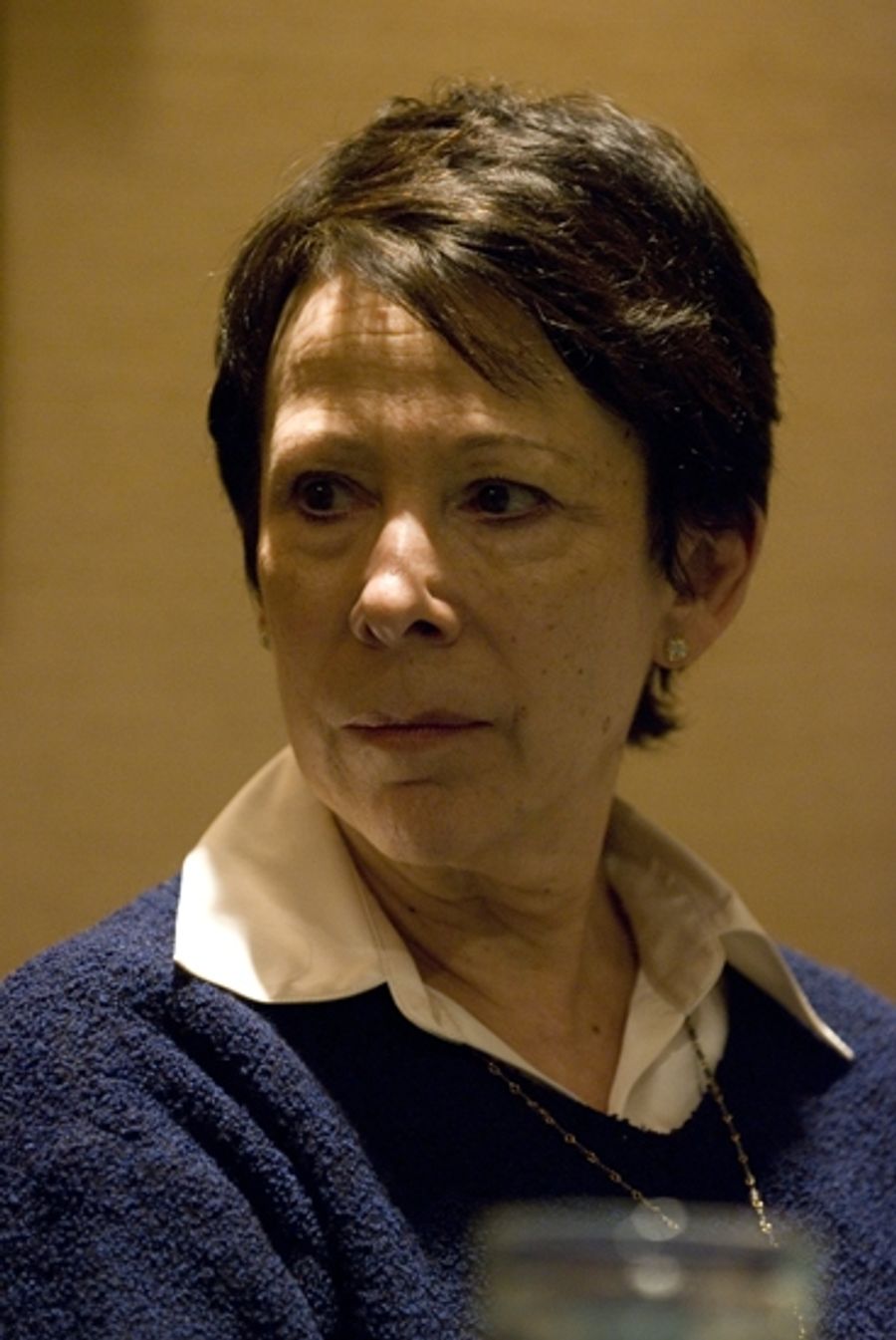 Photo Coverage: Women Playwrights & Directors Panel Image
