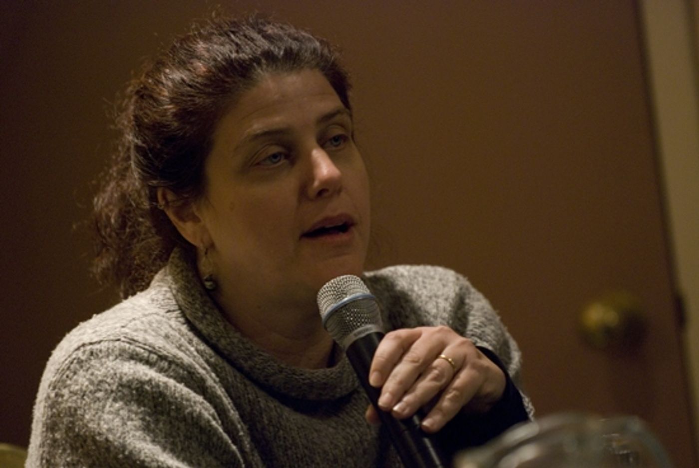 Photo Coverage: Women Playwrights & Directors Panel  Image