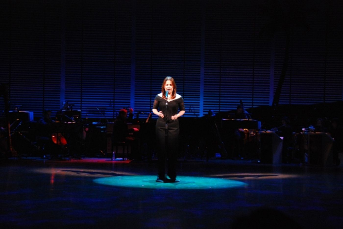 Photo Flash: Lea Salonga Performs for BROADWAY BACKWARDS 5  Image