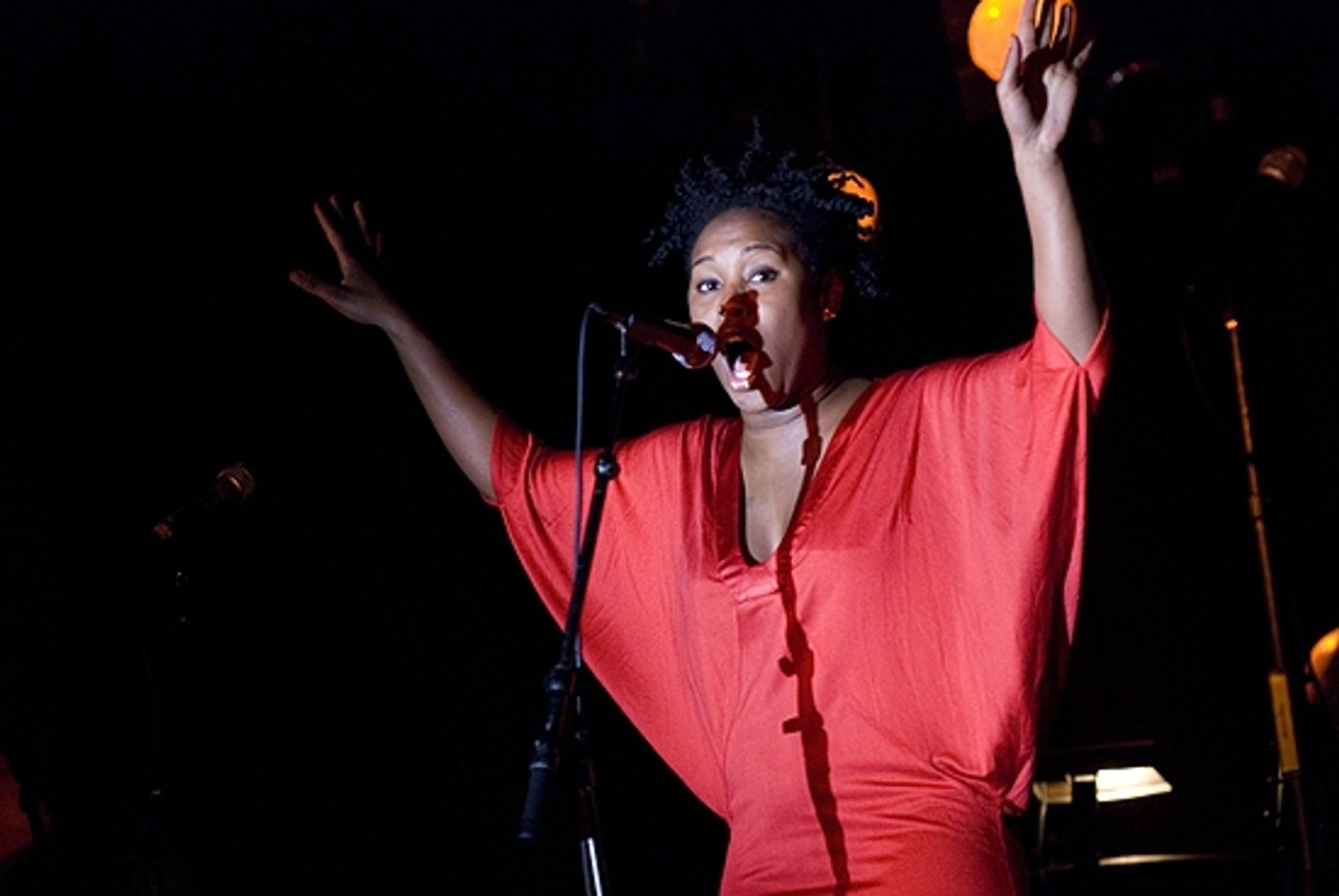 Photo Coverage: Rockers on Broadway at B.B. King  Image