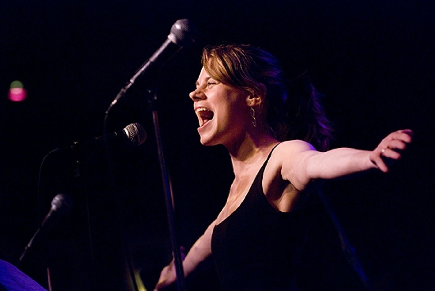 Photo Coverage: Kerrigan-Lowdermilk's Under the Influence Concert at Birdland  Image