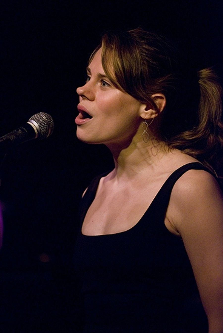 Photo Coverage: Kerrigan-Lowdermilk's Under the Influence Concert at Birdland Image