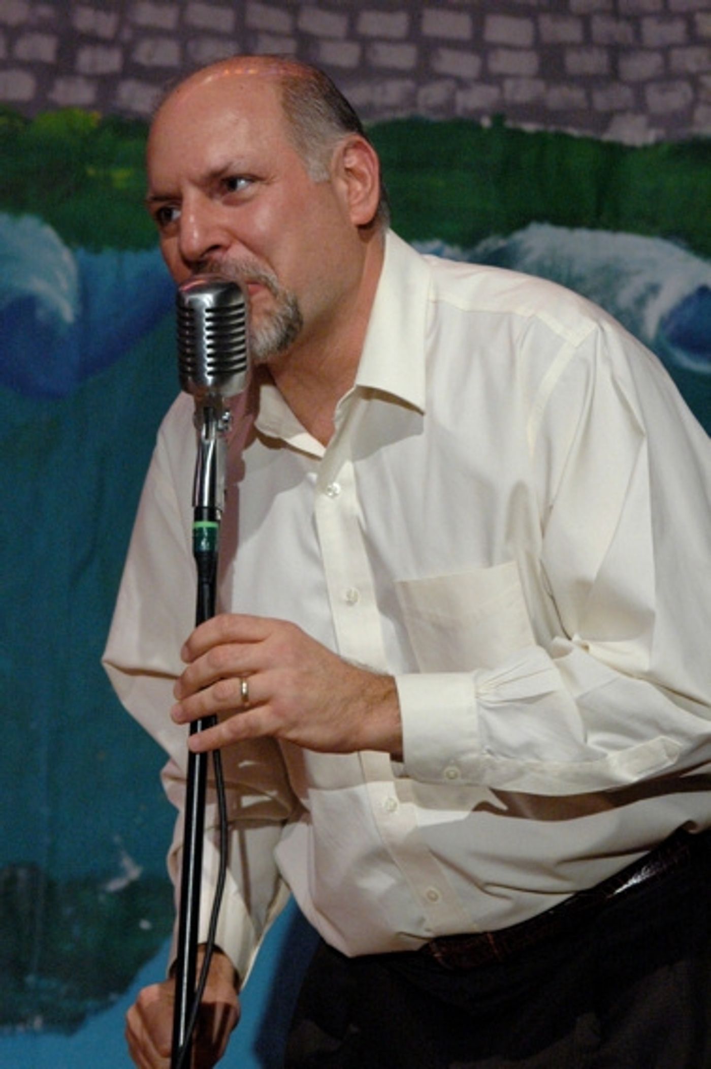 Photo Coverage: Brian d'Arcy James Leads 'Broadway Stars Rock for School Music'  Image