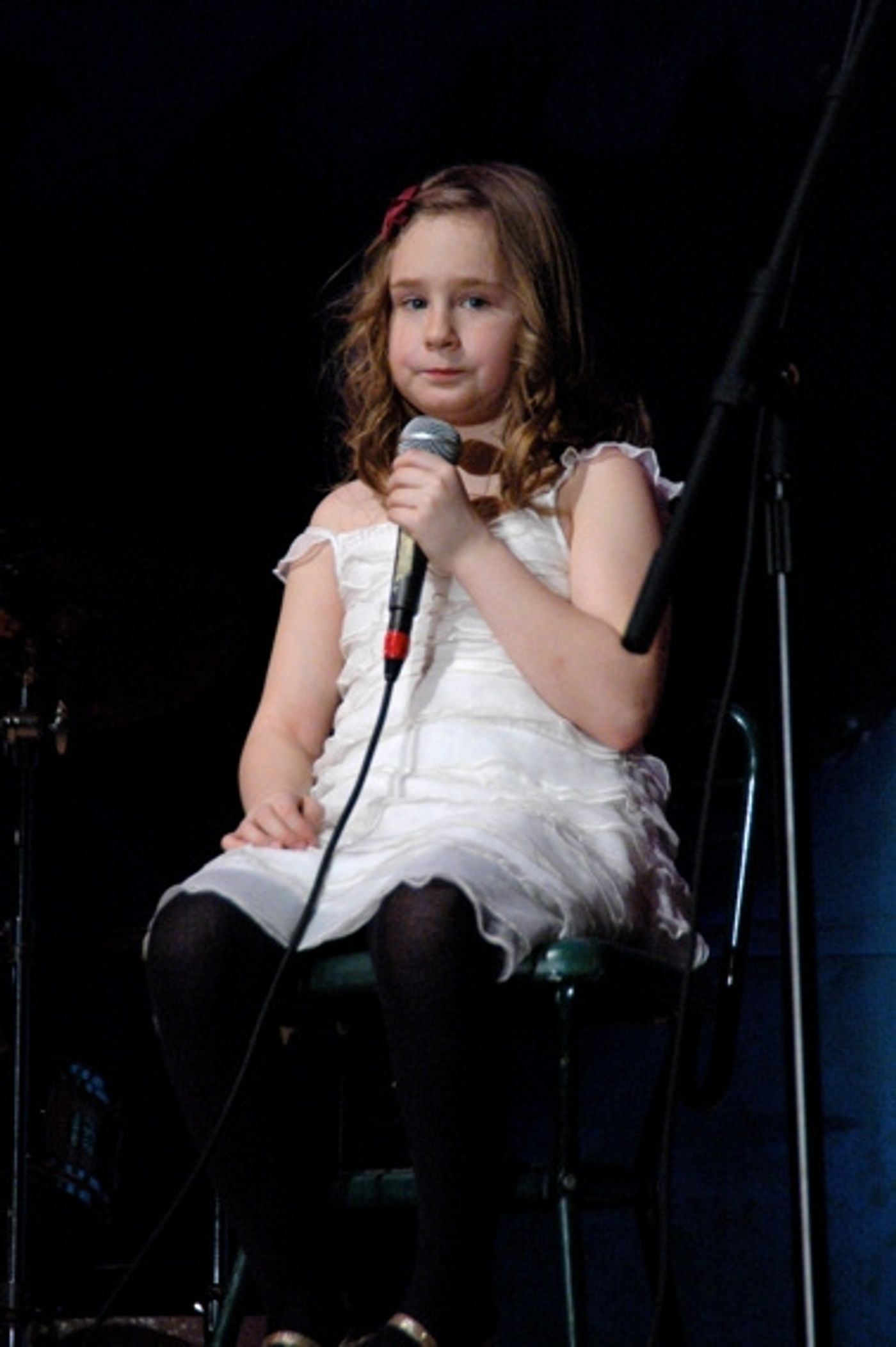 Photo Coverage: Brian d'Arcy James Leads 'Broadway Stars Rock for School Music'  Image